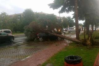 Skutki burzy w Rzeszowie