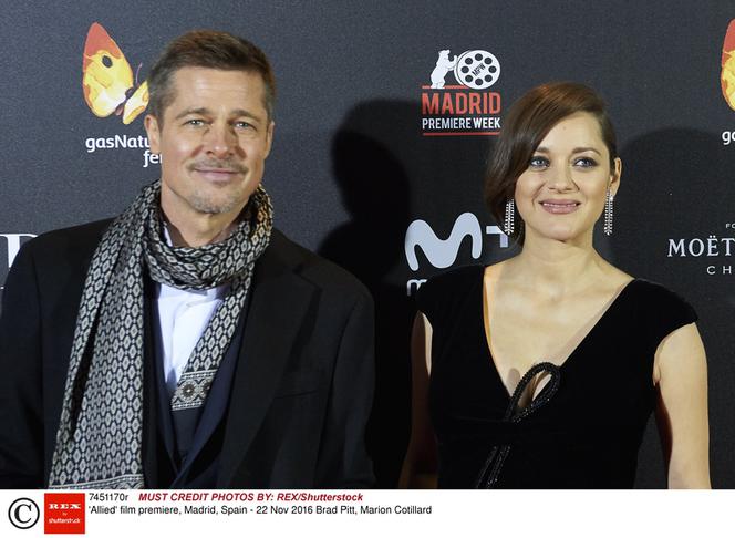 Sprzymierzeni: Brad Pitt i Marion Cotillard na premierze