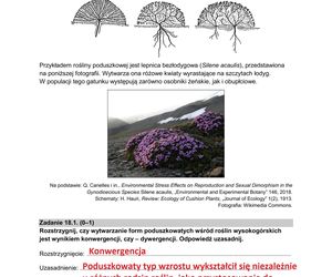 Matura 2025: biologia 9.05.2025. Arkusze CKE i odpowiedzi [Formuła 2015]