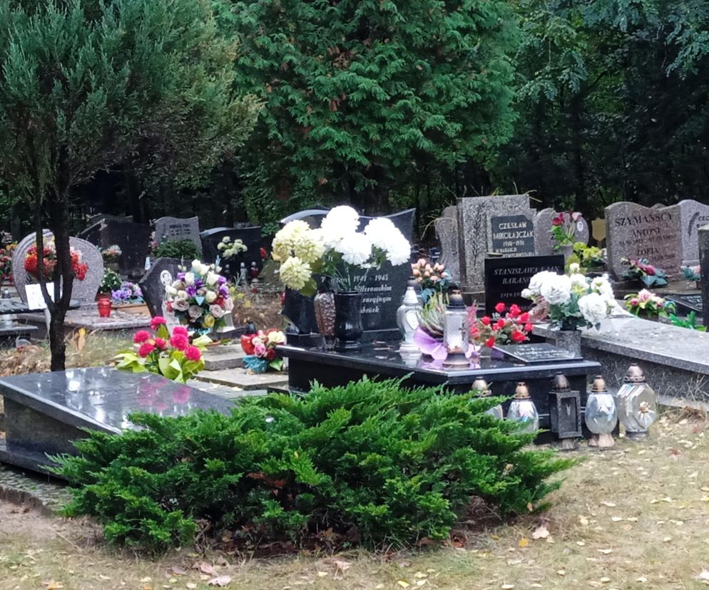 Przygotowania do święta Wszystkich Świętych na Cmentarzu na Miłostowie