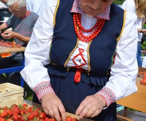 Truskawka Bielińska