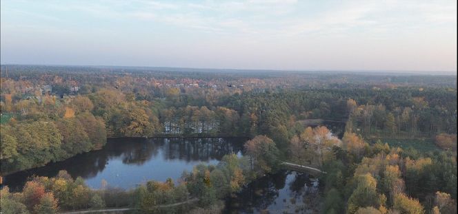 Idealne miejsce na jesienny spacer w Śląskiem - Kamień 