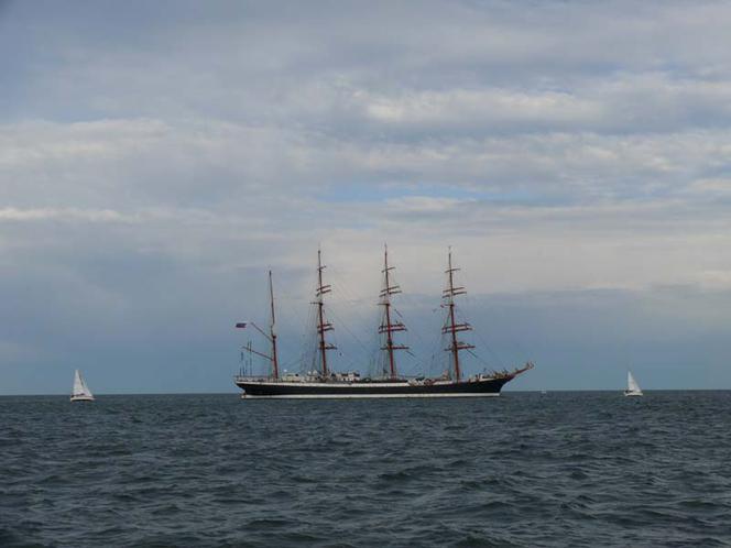 ParadaZagleGdyni2014_FotMZwierz_700970