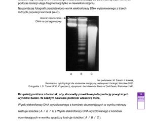 Matura 2025 z biologii – ARKUSZ Formuła 2023