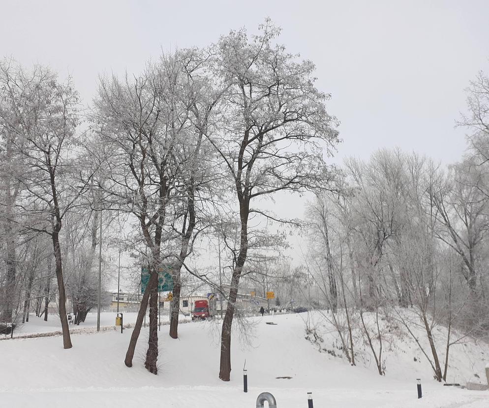 Starachowice w zimowej szacie wyglądają jak z bajki