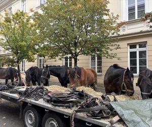 Plan zdjęciowy Lalka