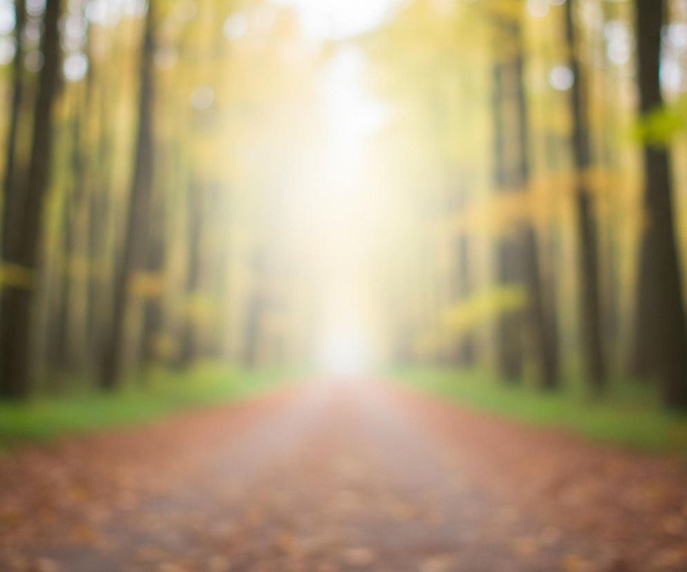 Centralną część obrazu zajmuje rozmyta, leśna droga, biegnąca prosto w głąb kadru. Droga jest pokryta jesiennymi, brązowymi liśćmi i rozjaśnia się w oddali, gdzie widoczne jest intensywne, białe światło. Po obu stronach drogi rozciąga się las z wysokimi, niewyraźnymi drzewami o ciemnych pniach i liściach w odcieniach zieleni i żółci, które również są rozmyte. U podstawy drzew, blisko drogi, widoczna jest niewyraźna zielona trawa lub mech.