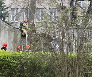 Ktoś podpalił zabytkową drewnianą mającą 208 lat dzwonnicę