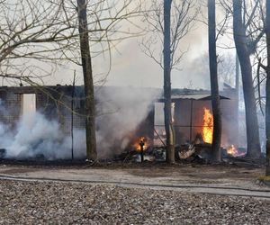 Pożar pustostanów przy ul. Grudziądzkiej w Toruniu. To nie pierwszy raz!