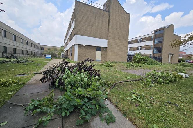 Tornado przeszło przez Buffalo