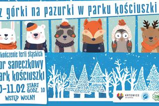 Katowice: Reaktywacja toru saneczkowego w Parku Kościuszki!