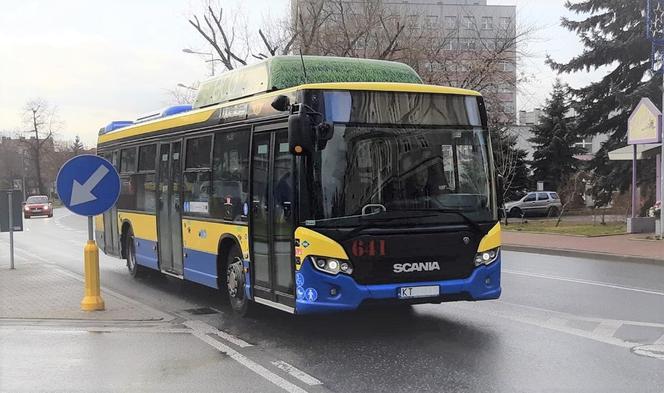 Tarnów: Autobusem z Mościc na Marcinkę. Będą nowe linie autobusowe