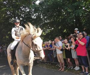 Święcili zwierzęta w Mikstacie!