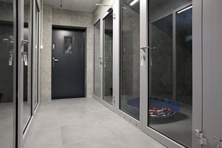 Gliwickie schronisko już po modernizacji. Przebudowany został pawilon dla małych i dużych psów