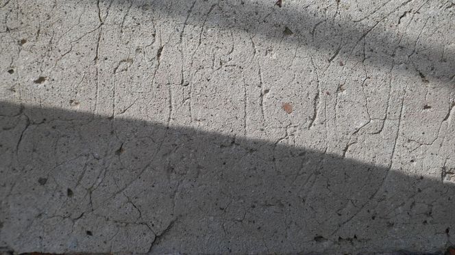 To wyjątkowy symbol miasta pod Olsztynem. Na jego szczycie znajduje się… gniazdo