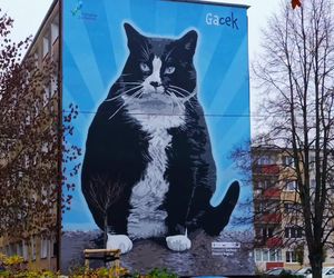 Mural z kotem Gackiem już odsłonięty