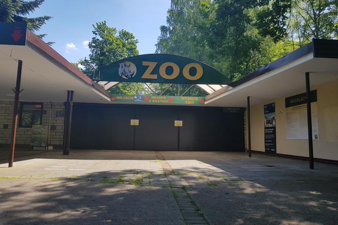 Gdzie na spacer w Poznaniu? Stare Zoo