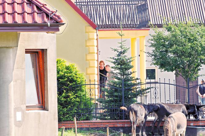 Irena Lepper