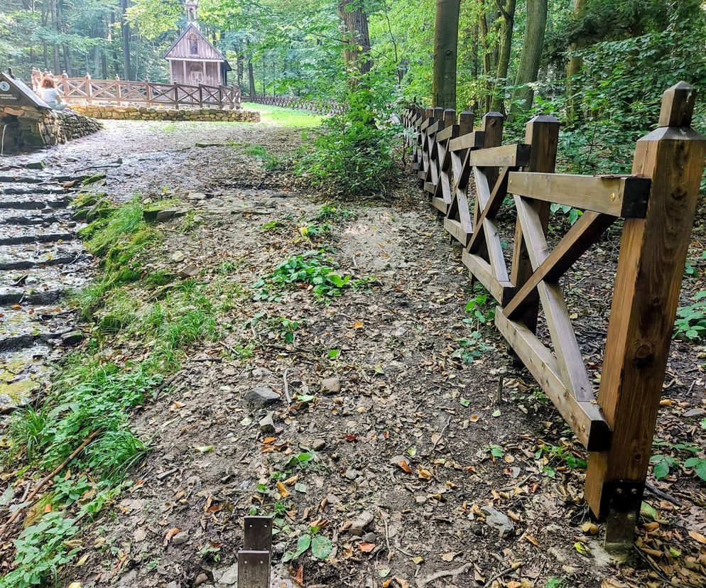 To najładniejsza trasa widokowa w woj. świętokrzyskim. Wybór AI