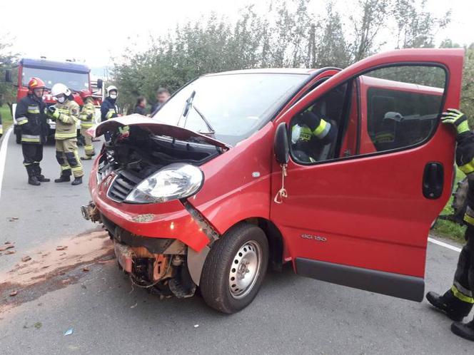 Kicznia. Uderzył samochodem w budynek. Wszystko przez dzikie zwierzę