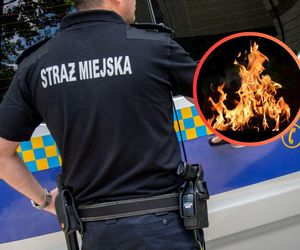 Grupa osób próbowała rozpalić ognisko na szkolnym boisku