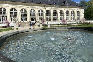 Wiosna w Łazienkach Królewskich