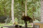 Biophilic design w Konstancinie