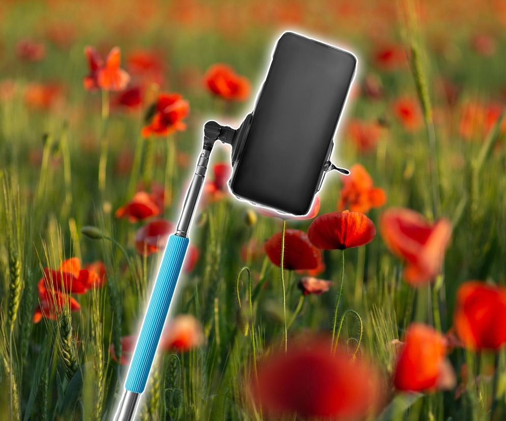 Selfie w polu maków podbija Instagrama
