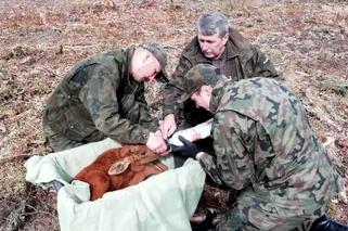 Podlaskie. Matka porzuciła kilkudniowe maleństwo. Uratowali je leśnicy [ZDJĘCIA]