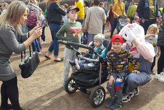 Zające chodzące i z czekolady w centrum Leszna