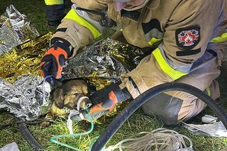 Zblewo. Bohaterska interwencja strażaków. Uratowali z pożaru cztery osoby i psa [ZDJĘCIA]