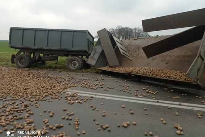 Traktor na poboczu, ziemniaki na drodze w pow. górowskim     