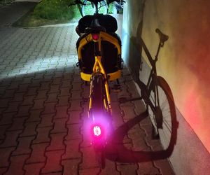Nasz test rowerów cargo