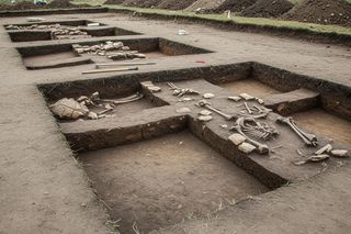 Rembertów. Makabryczne odkrycie szczątków wielu osób. Kto spoczął pod Warszawą?