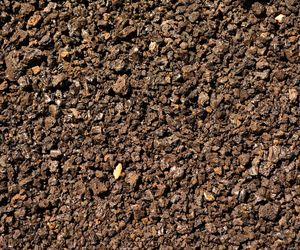 Jak odkazić glebę? [Porada eksperta]