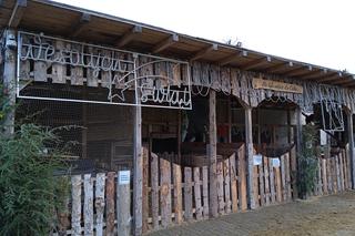 Żywa szopka przy Parafii Matki Bożej Dobrej Rady. Trzymali w niej kota i wiewiórkę w klatce