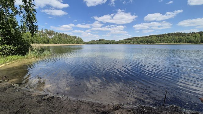 To jezioro w Olsztynie ma niezwykle czystą wodę. Jest kilka dzikich plaż, które świecą pustkami