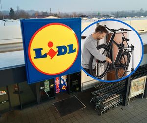  Wiosenne promocje w Lidlu