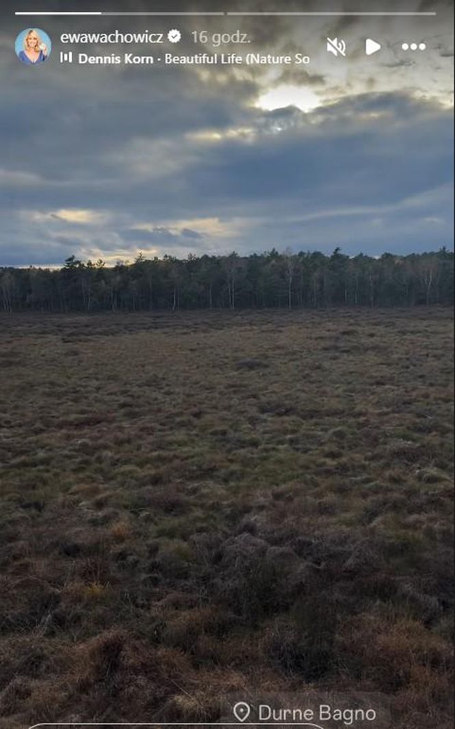 Katarzyna Cichopek i Maciej Kurzajewski poprawiny