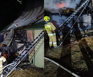Tragiczny pożar w Przemyślu. Strażacy znaleźli sześć martwych koni