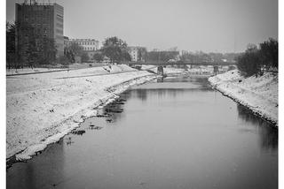 Zaśnieżony Rzeszów w czerni i bieli: Te zdjęcia są PIĘKNE! [GALERIA]