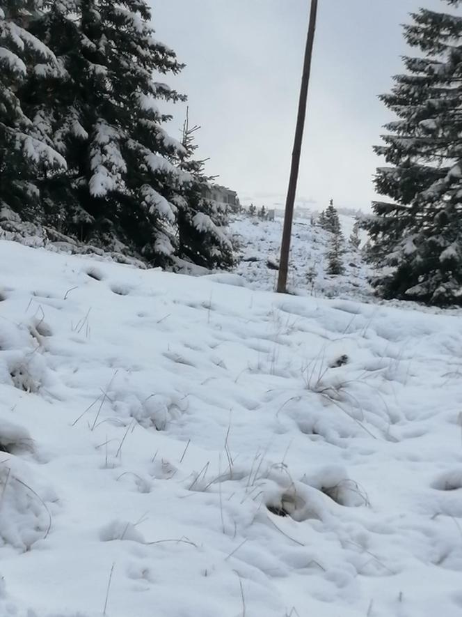 Zima w Karkonoszach! Góry przykryte śniegiem. Oto wasze zdjęcia z minionego weekendu