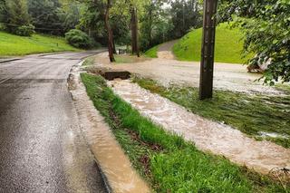 Zalane drogi, powalone drzewa, woda w piwnicach. To skutki czwartkowych nawałnic, które przeszły przez region tarnowski