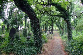 Cmentarz żydowski w Zabrzu