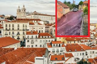 Rwąca rzeka czerwonego wina zalała ulice portugalskiego miasteczka. O włos od katastrofy ekologicznej [WIDEO]
