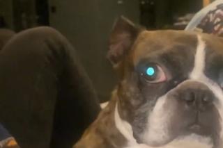 Dawid Kwiatkowski świętował urodziny ukochanego przyjaciela. To jego największa miłość!