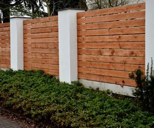 Jakie rośliny posadzić przy ogrodzeniu od strony ulicy?