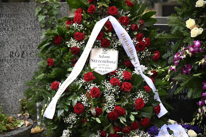 Grób prof. Adama Strzembosza