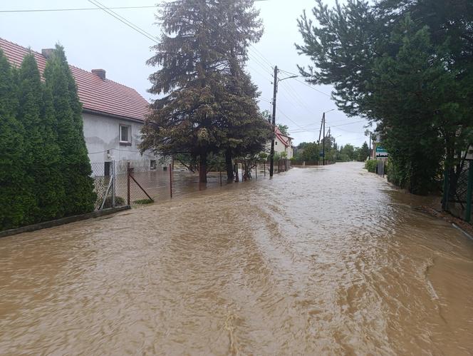 Zagrożenie powodziowe. Głuchołazy. Woda przelała się przez wały. Zalewa miasto