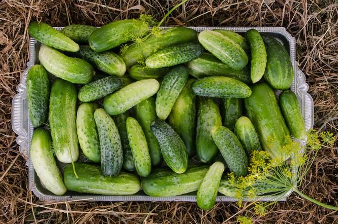 Ogórki po libańsku: przepis kuchni libańskiej